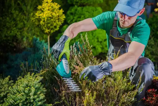 landscaping services St. Martins